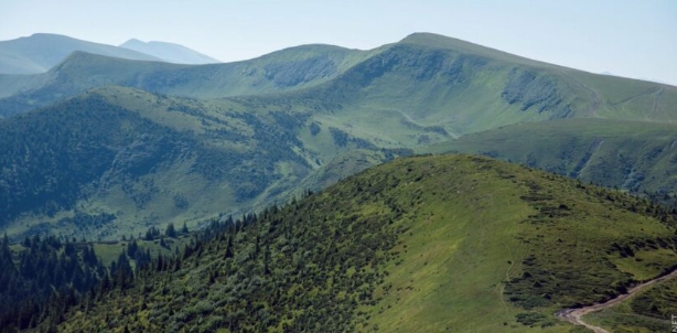 4 hectares of Carpathian forests are cut down every hour in eight countries